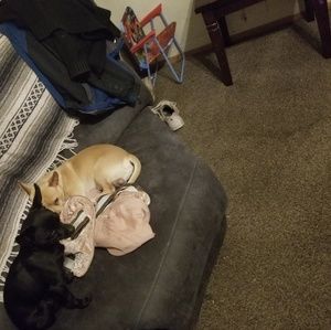 Meet your Posher, Amanda